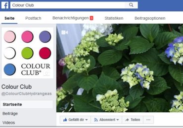 Colour Club auf Facebook